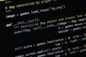 /wp-content/uploads/2018/06/python-code-on-a-computer-screen-coded-by-a-professional-Python-developer-.jpg