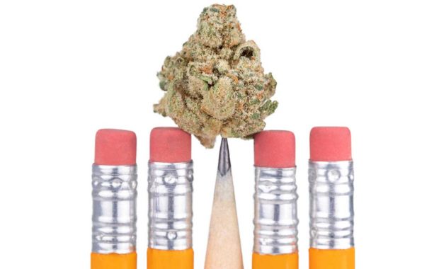 Marijuana on top of pencil depicting a dispensary content marketing strategy